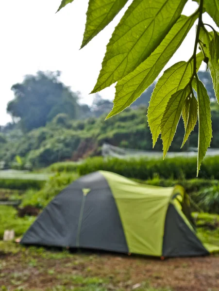 Camp Village Camper Enjoying Beauty Village Atmosphere — ストック写真