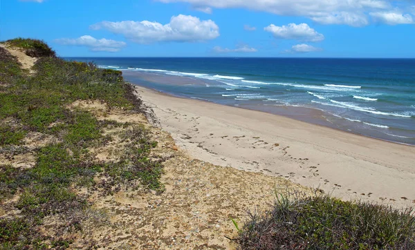 Cape Cod Ulusal Sahili 'nde güneşli bir gün.
