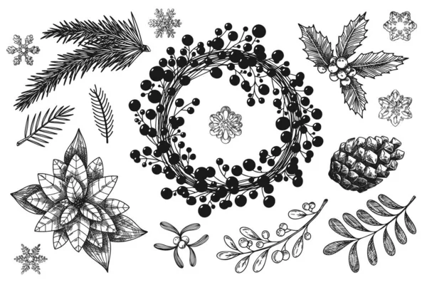 Рождественский Венок Ветви Различных Растений Изолированы Белом Фоне Рисунок Иллюстрация — стоковый вектор