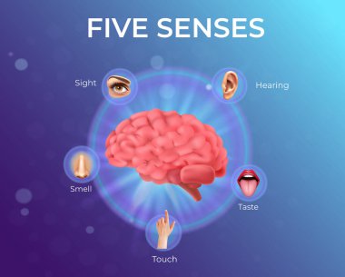 HUMAN FIVE SENSES DIGITAL ILLUSTRATION 