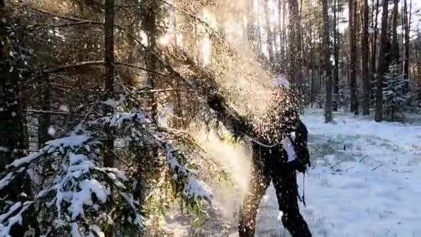 Falling Snow Woman Middle Forest Winter Time Slow Motion Clip — Stok video