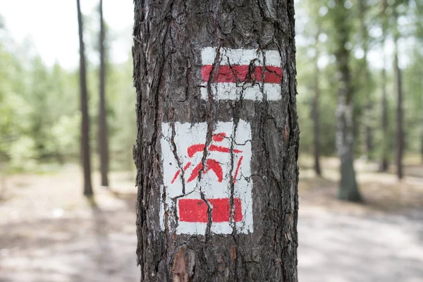 Red nordic walking trail signpost painted on the tree.