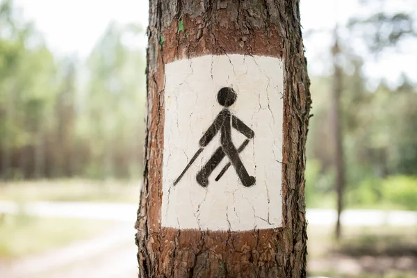 The nordic walking signpost in the forest.