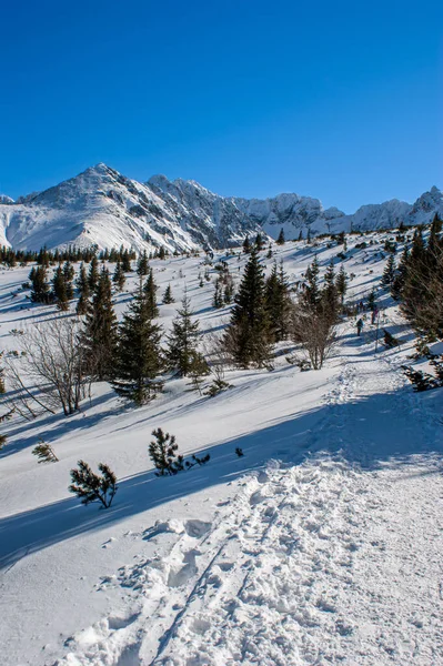 Красивий Зимовий Гірський Пейзаж — стокове фото