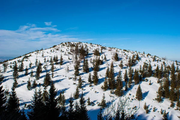 Smukke Vinter Bjerglandskab - Stock-foto