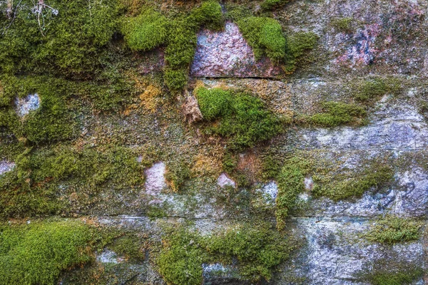 Old stone wall covered with green moss and lichens — Stock Photo, Image