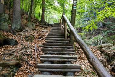 Çek Cumhuriyeti 'ndeki Resov şelalelerinde tahta yürüyüş yolu