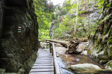 Çek Cumhuriyeti 'ndeki Resov şelalelerinde tahta yürüyüş yolu