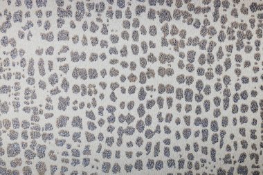 Duvar halısı arkaplan dokusu ve tekrarlanan tuval süsü