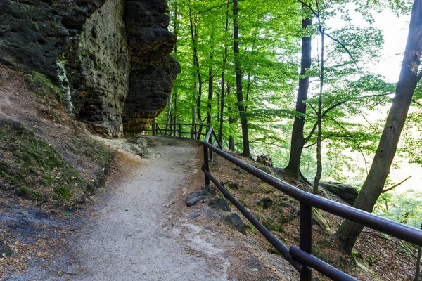 Narrow hiking trail near Pravcicka Gate in the Bohemian Switzerland National Park, Czech Republic.