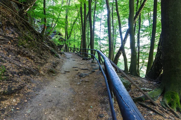 Çek Cumhuriyeti 'nin Bohemian İsviçre Ulusal Parkı' ndaki Pravcicka Kapısı 'na yürüyüş yolu..
