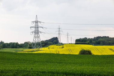 Tarım alanındaki yüksek voltaj elektrik direkleri ve iletim güç hatları.