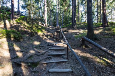 Çek Cumhuriyeti 'nin Adrspach-Teplice Kayalıkları' nda yürüyüş yolu.