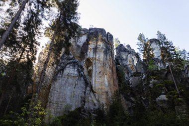 Adrspach 'taki kum taşı oluşumları, Adrspach-Teplice Kayalıkları' nın bir parçası, Çek Cumhuriyeti.