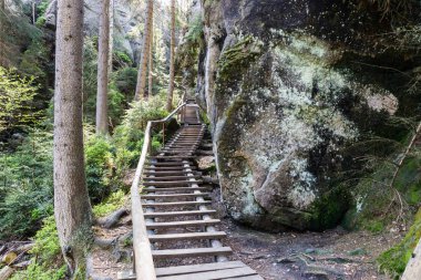 Çek Cumhuriyeti 'ndeki Adrspach Kayalıkları' nın Kum Taşı oluşumları ve yolları.