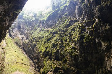 Macocha Gorge veya Macocha Abyss. Moravian Karst Punkva mağara sisteminde çukur.