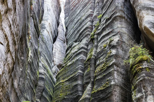 Rock towers and walls in the Adrspach-Teplice Rocks Nature Reserve, Czech Republic.