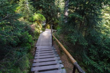 Çek Cumhuriyeti 'nin Adrspach Kayalıkları' nda turizm yolu.