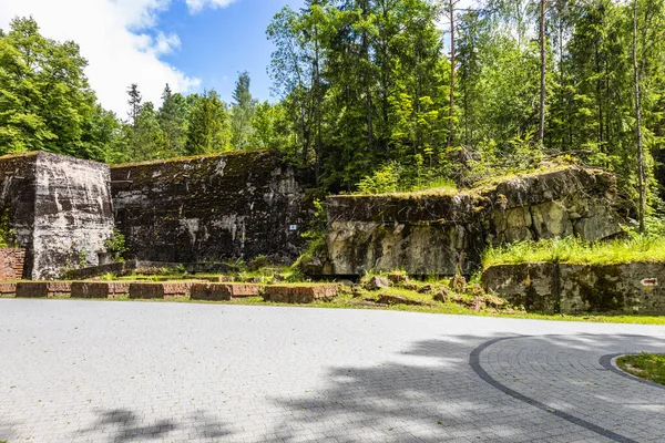 Wolfs Lair 'de araştırma sığınağı. Adolf Hitler 'in Polonya' daki eski savaş karargahı..