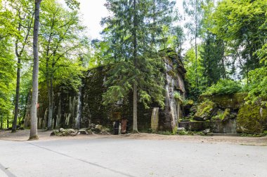 Adolf Hitler 'in sığınağı Wolfs Lair' de. Adolf Hitler 'in Polonya' daki eski savaş karargahı..