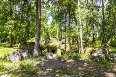 Wolfs Lair 'deki harabeler. Adolf Hitler 'in Polonya' daki eski savaş karargahı..