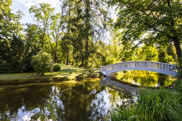 Summer Park Garden Landscape Duck Pond — Stockfoto