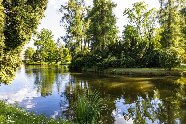 Summer Park Garden Landscape Duck Pond Stock Photo