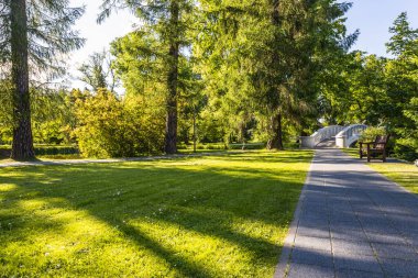 Boş bir arazi ve çayır çim tarlası için göleti olan halk parkı..