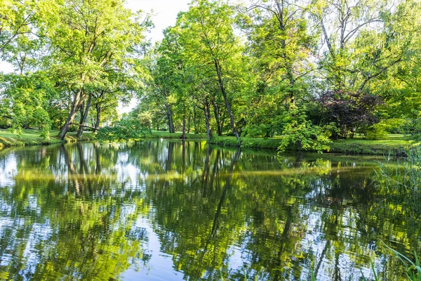 Zomer Park Tuin Landschap Met Een Eendenvijver — Stockfoto