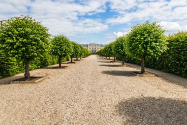 Park paths near the Rundale palace in Latvia.