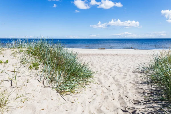 Zandstrand Duin Met Gras Aan Het Oostzeestrand Prachtige Zee Landschap Rechtenvrije Stockafbeeldingen