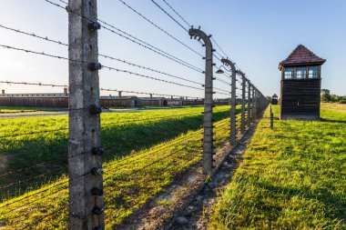 Auschwitz - Birkenau toplama kampı. Soykırım anıtı. Oswiecim, Polonya, 17 Temmuz 2022.