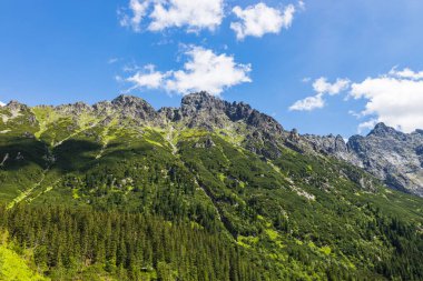 Zakopane yakınlarındaki yüksek Tatras dağlarının güzel manzarası.