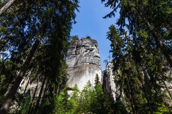 Rock towers in Adrspach, part of Adrspach-Teplice Rocks Nature Reserve, Czech Republic.