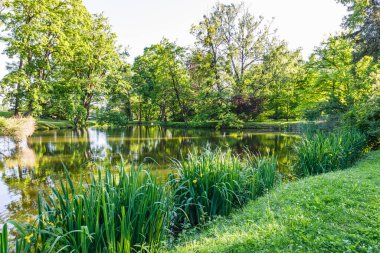 Boş bir arazi ve çayır çim tarlası için göleti olan halk parkı..