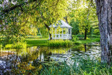 Park in a quiet place to rest with a pond. Summer in the city.