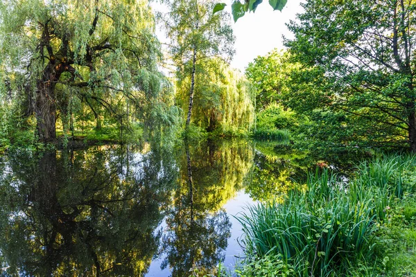 Zomer Park Tuin Landschap Met Een Eendenvijver — Stockfoto