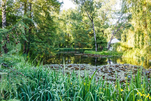 Summer City Park Garden Landscape Pond — Stock Fotó