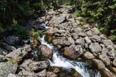 Mountain river at the High Tatras National Park.
