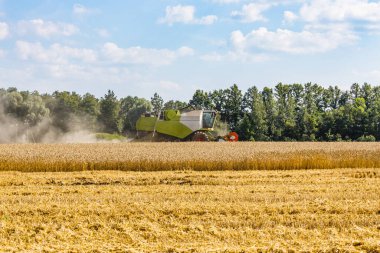 Agricultural wheat field during harvest time with industrial combine machine in working prosses.