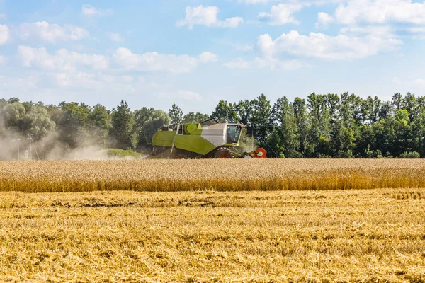 Agricultural wheat field during harvest time with industrial combine machine in working prosses.