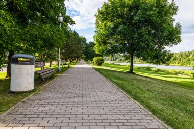 Urban recreation and outdoor activities area. The row of oak trees, grassy lawn, and pathway.