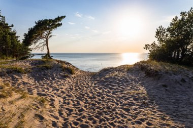 Sand dunes against the sunset light on the Baltic sea beach.