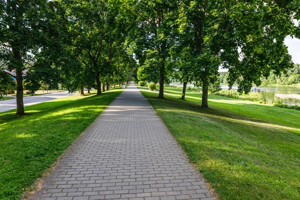 The row of oak trees, grassy lawn, and pathway. Urban recreation and outdoor activities area.