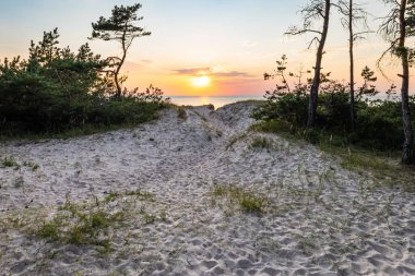 Sunset at the Baltic sea shore. Typical Baltic sea beach landscape.