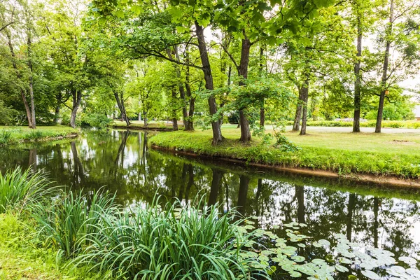 Landschap Het Park Met Bomen Groen Grasveld Een Vijver — Stockfoto