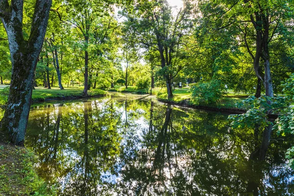 Groene Gazon Stadspark Met Moeras Bij Daglicht — Stockfoto