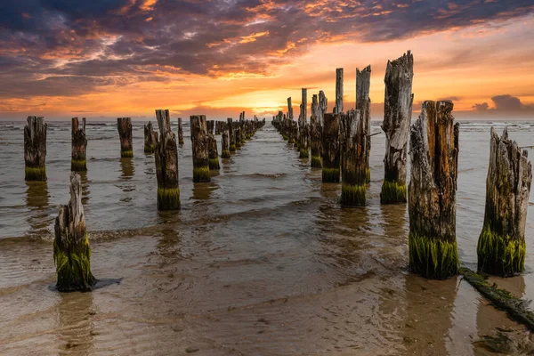 Baltık Denizi Nde Terk Edilmiş Eski Iskele Ahşap Iskele Kalıntıları — Stok fotoğraf