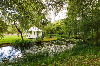 Yeşil ağaçlı ve göletli bir şehir parkı manzarası.