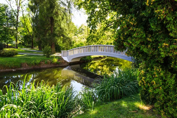 Groene Gazon Stadspark Met Een Vijver Bij Daglicht — Stockfoto